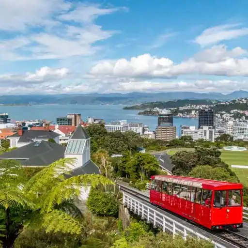 Wellington Free Walking Tours 